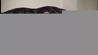 Budak penyiksaan Selempang manstrubasi bokep lavender